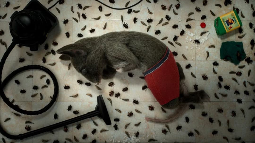 Будинок backdrop 7