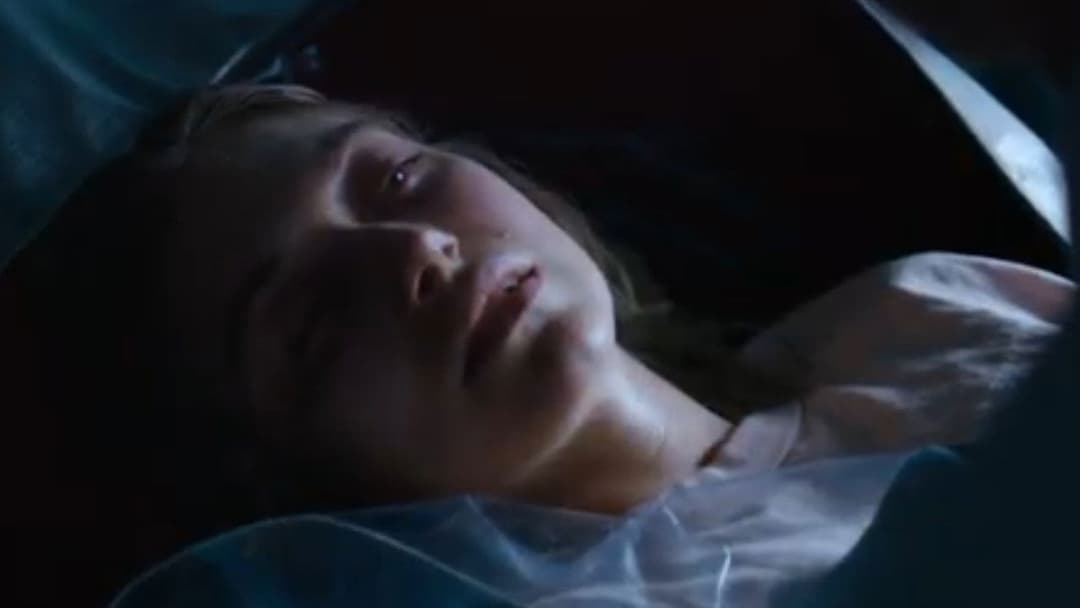 Віваріум backdrop 17