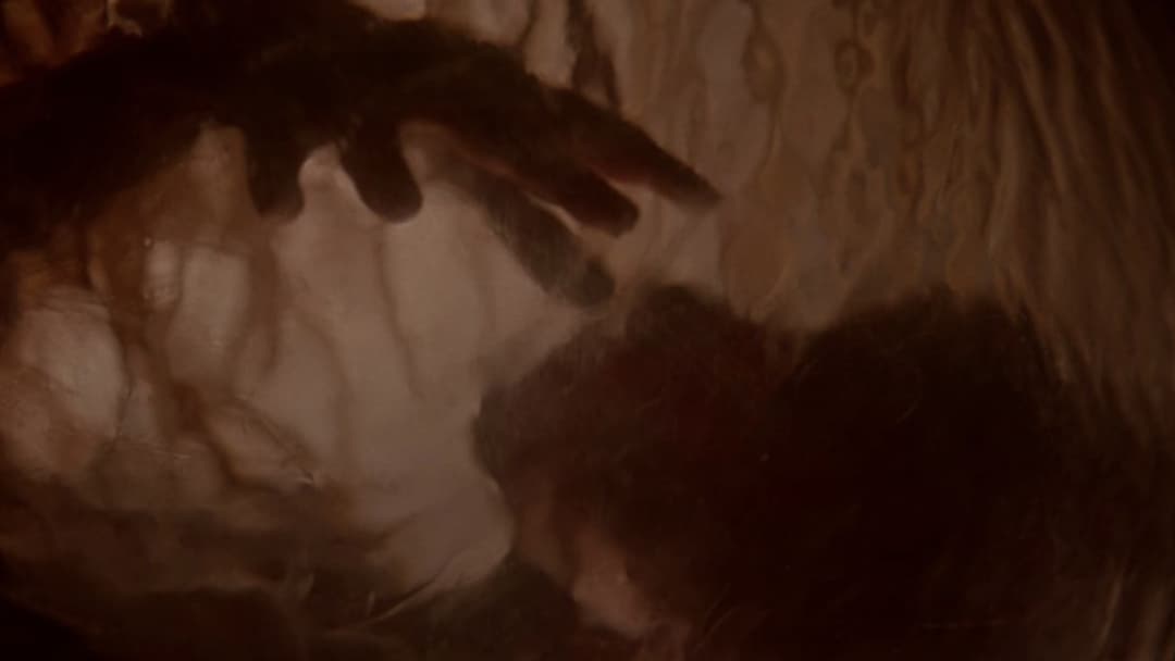 Body Snatchers - Die Körperfresser kommen backdrop 2