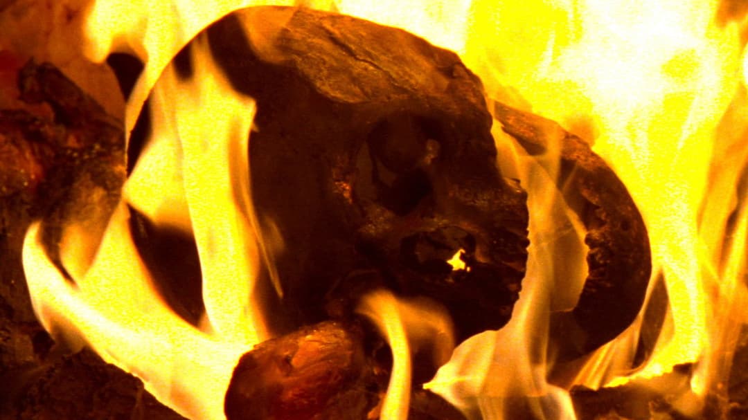 Mute Witness backdrop 7