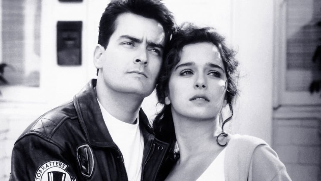 Hot Shots! - Die Mutter aller Filme backdrop 12