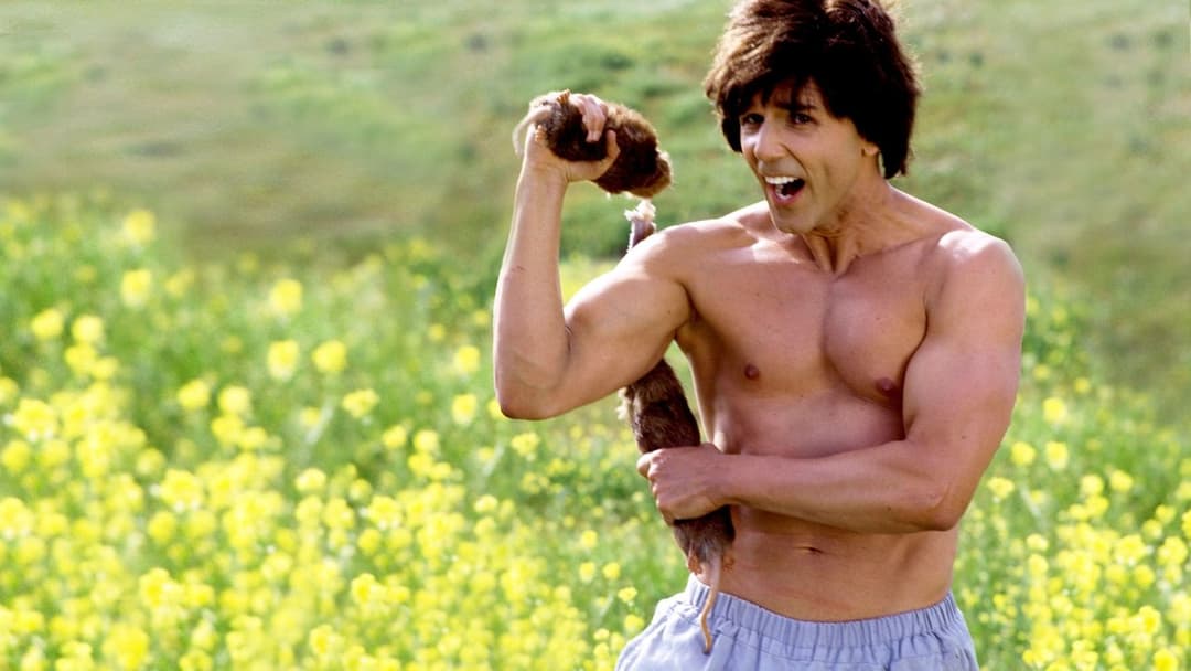 Кунг Пу: Кулак атакує backdrop 3