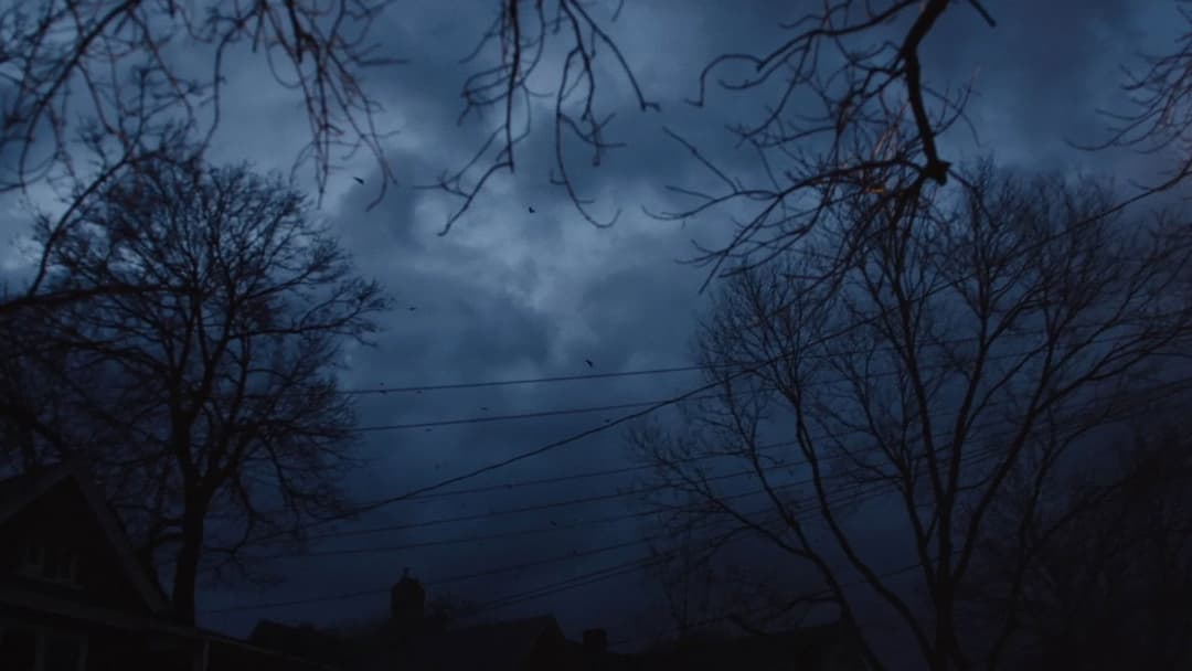 Adult World backdrop 6