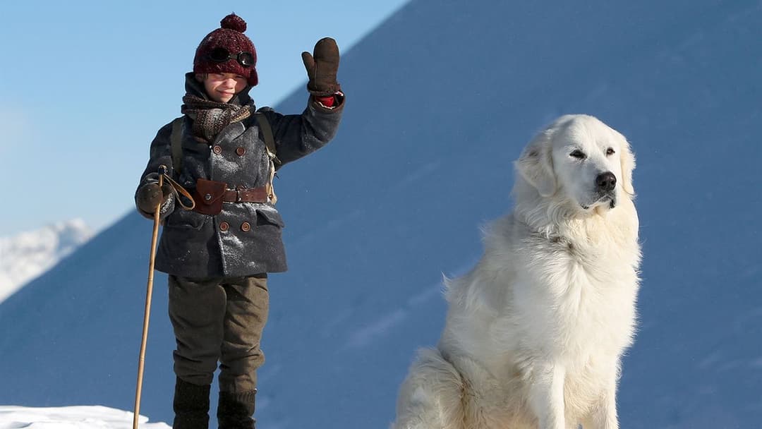 Белль і Себастьян backdrop 8