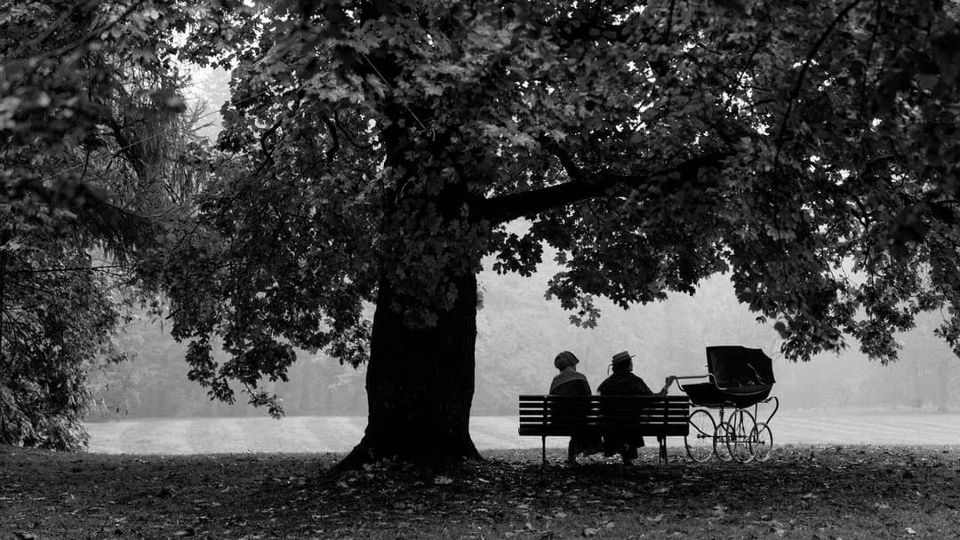 Das Mädchen mit der Nadel backdrop 12