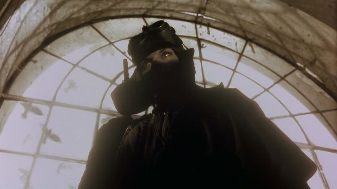 Авалон backdrop 1