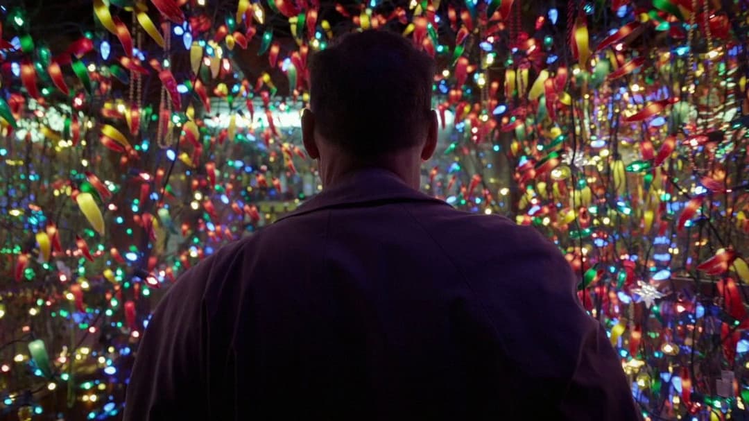 Birdman oder (Die unverhoffte Macht der Ahnungslosigkeit) backdrop 7