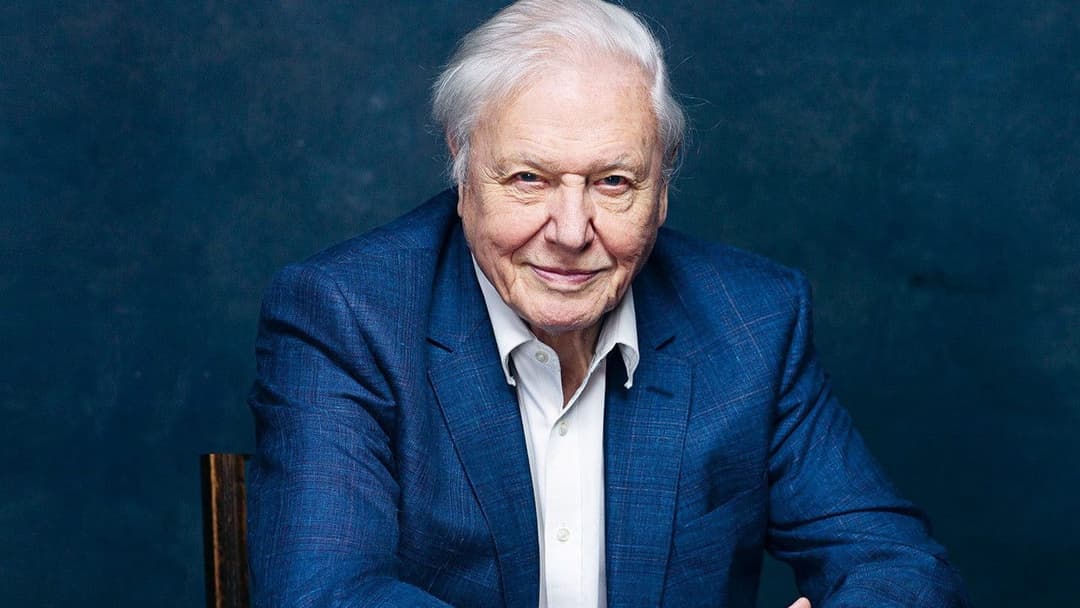 David Attenborough: Mein Leben auf unserem Planeten backdrop 6