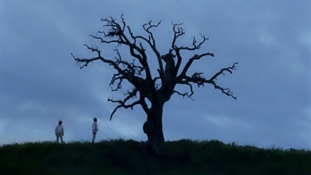 Bella e perduta backdrop 2