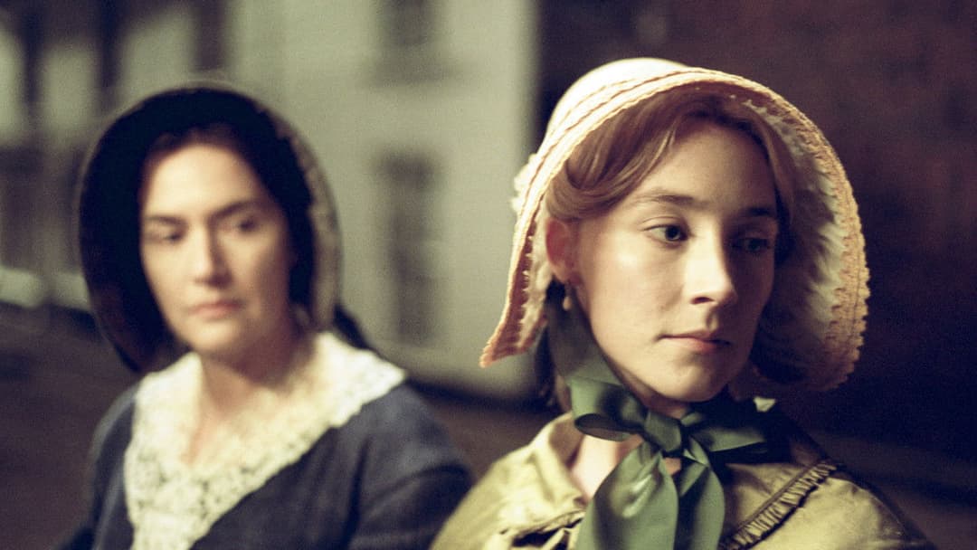 Ammonite backdrop 17