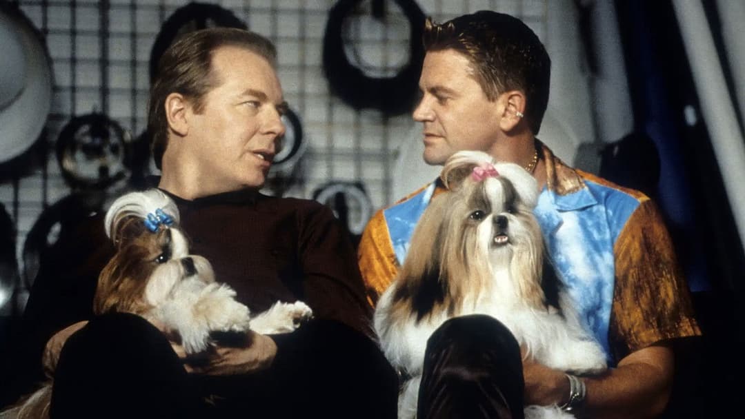 Переможці шоу backdrop 7