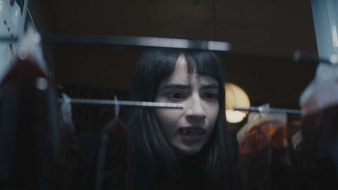 Feinfühlige Vampirin sucht lebensmüdes Opfer backdrop 9