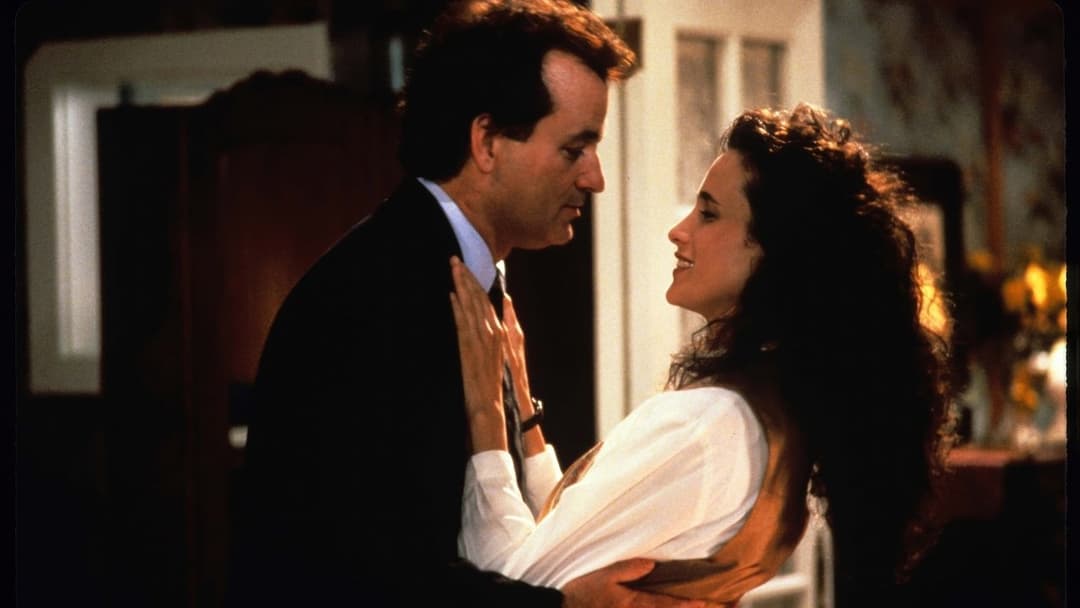 День бабака backdrop 11