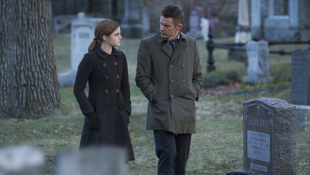 Затемнення backdrop 7