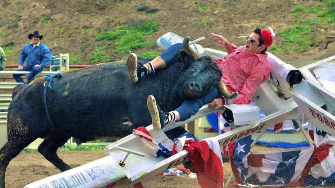 Jackass: Nummer Zwei backdrop 5