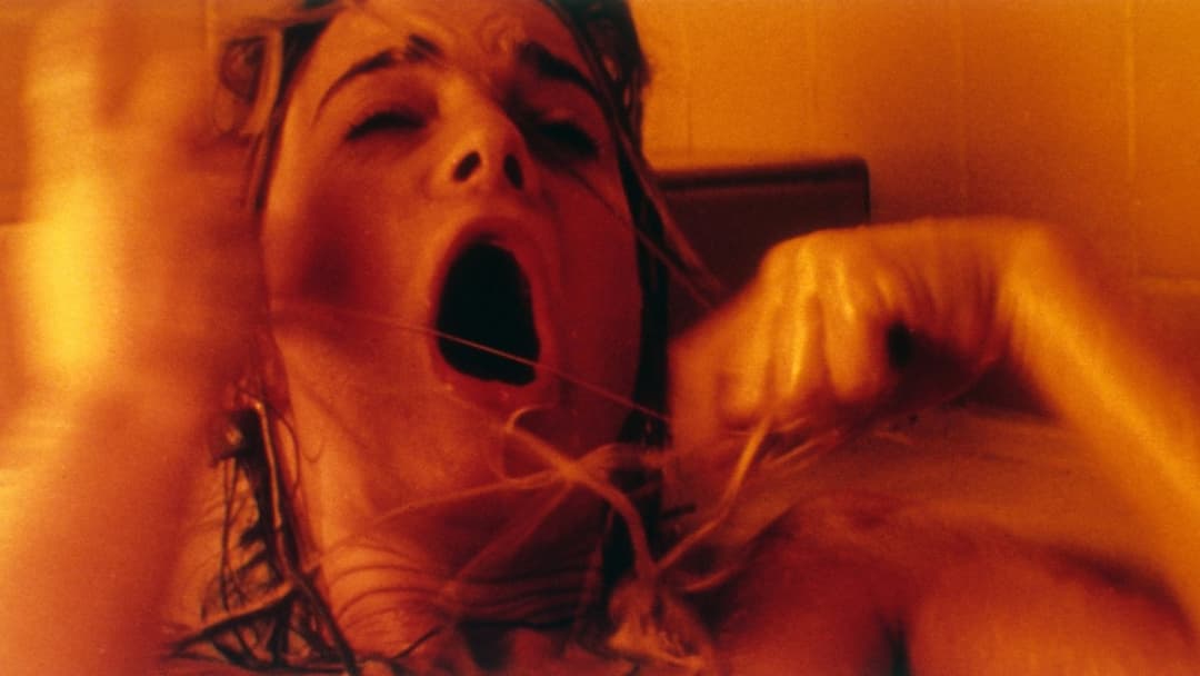 Body Snatchers - Die Körperfresser kommen backdrop 4