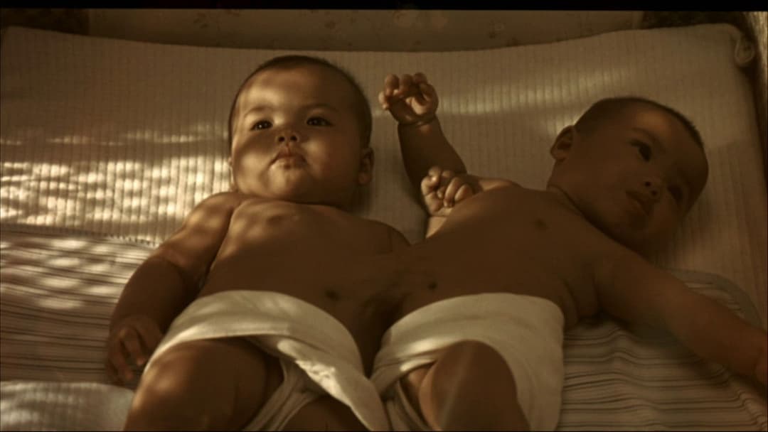 แฝด backdrop 5