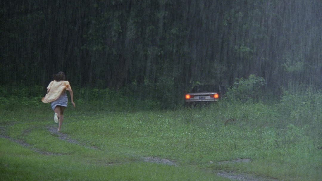 La Ciénaga backdrop 12