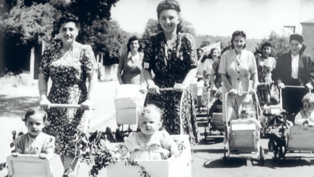 Les survivants, l'impossible départ après la Shoah backdrop 9