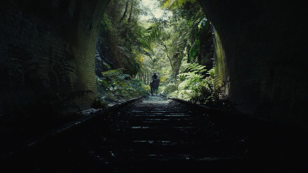 Королівство планети мавп backdrop 20