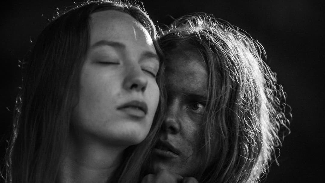 November backdrop 19