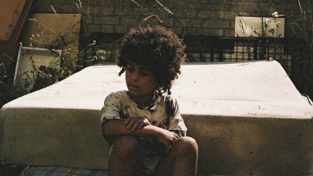 Птах backdrop 10