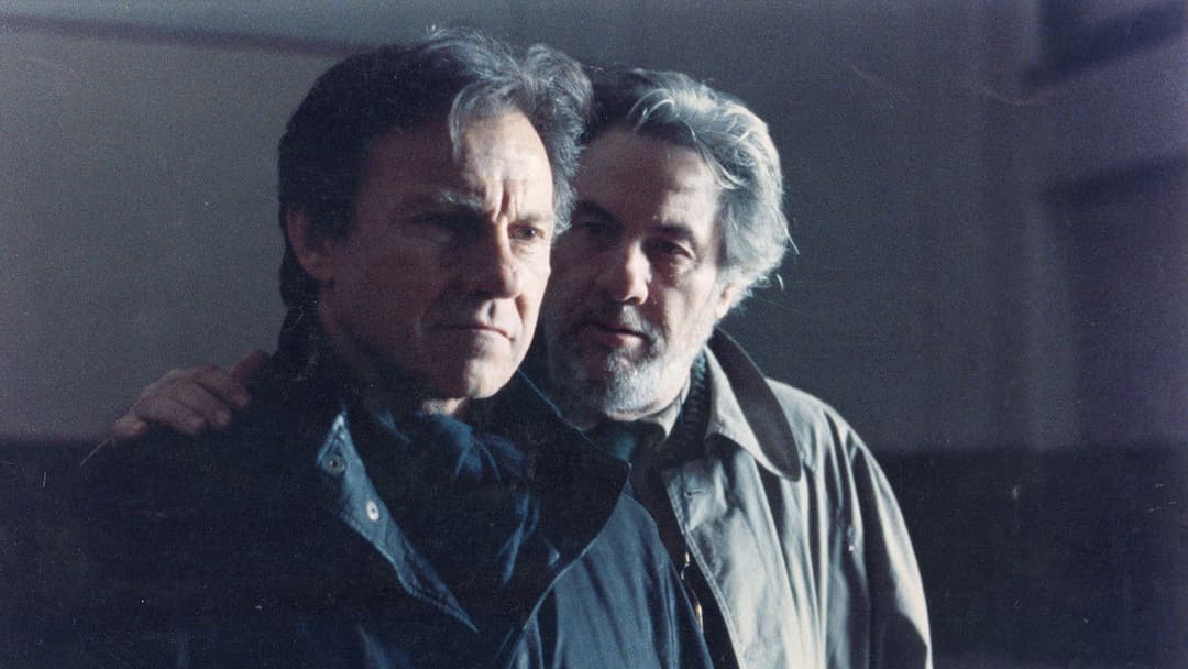 Το βλέμμα του Οδυσσέα backdrop 4