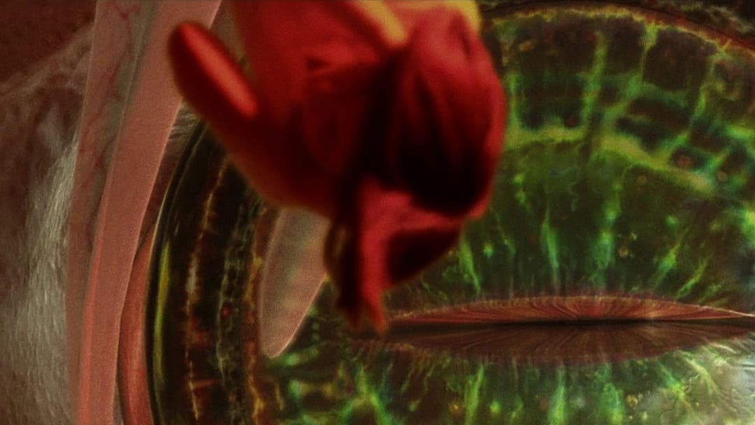 ガメラ3 邪神＜イリス＞覚醒 backdrop 16