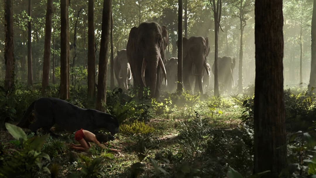 Книга джунглів backdrop 12