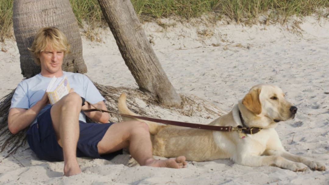 Marley & Ich backdrop 7