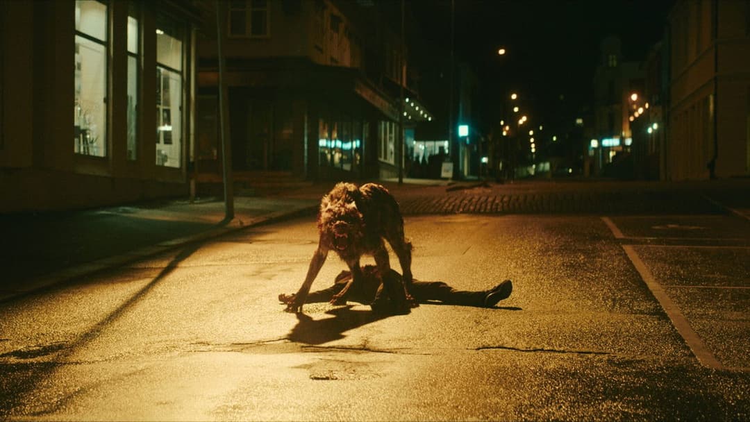 Вовк вікінгів backdrop 20