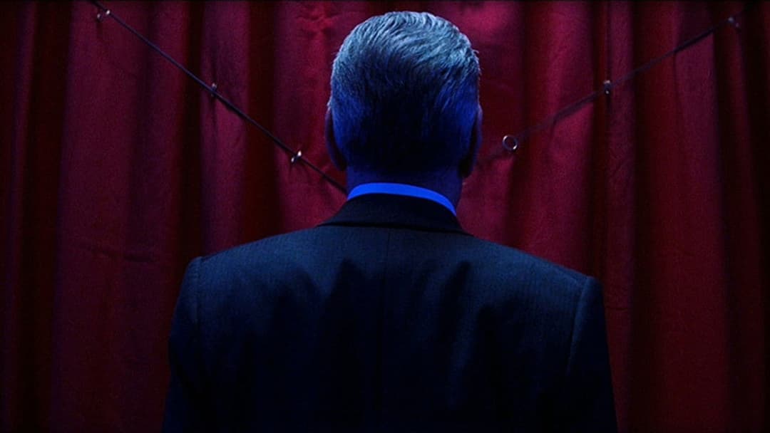 Магнолія backdrop 16