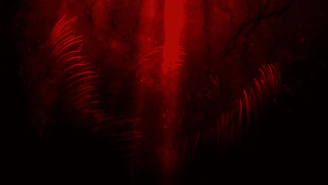 Залізна Легеня backdrop 7