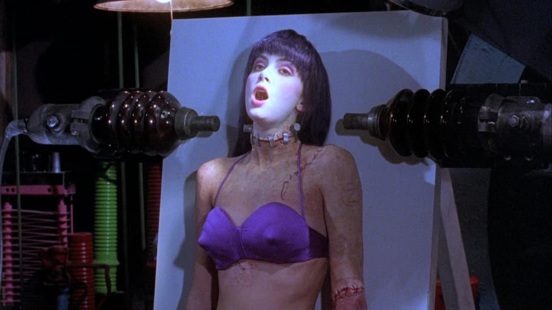 Frankenhooker backdrop 1