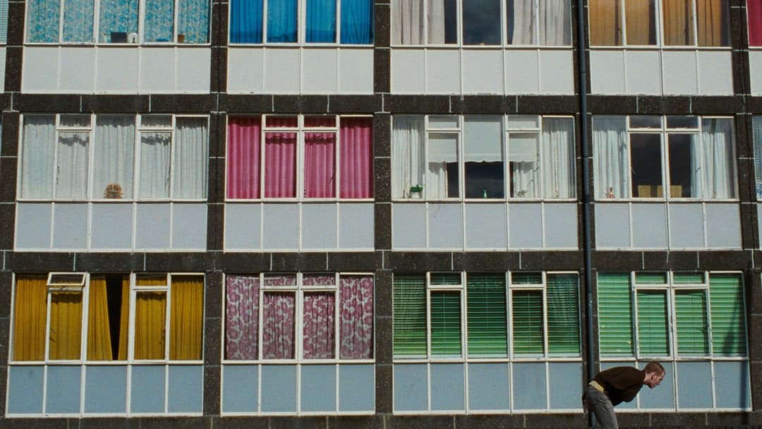 На голці backdrop 14