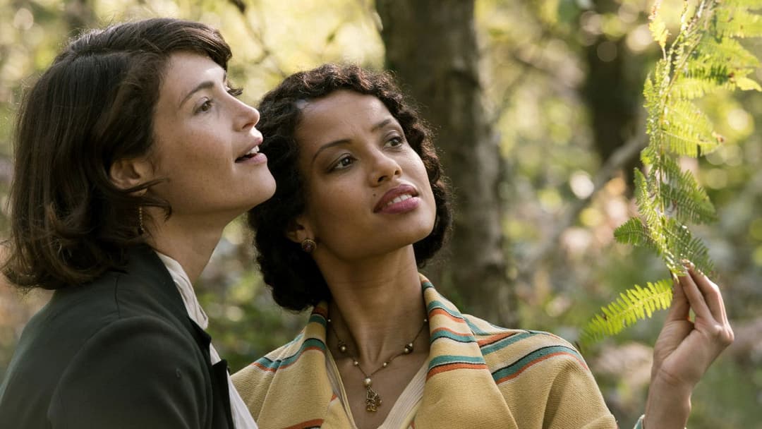 Summerland backdrop 15