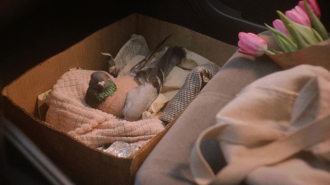 Showing Up backdrop 16