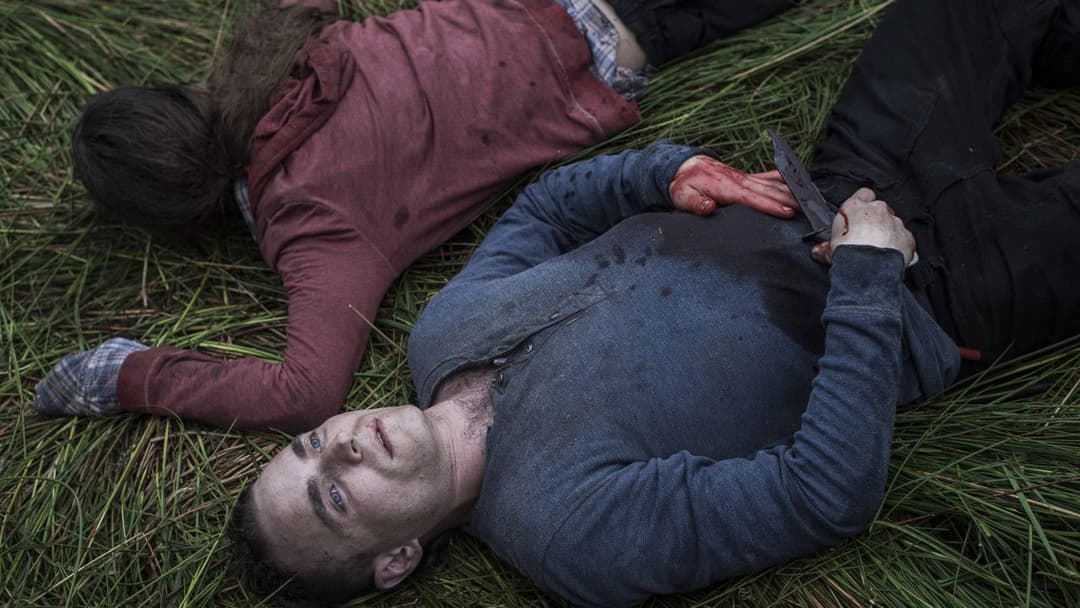 The Survivalist backdrop 3