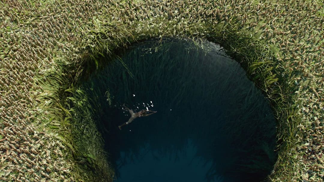 Life of Pi - Schiffbruch mit Tiger backdrop 15