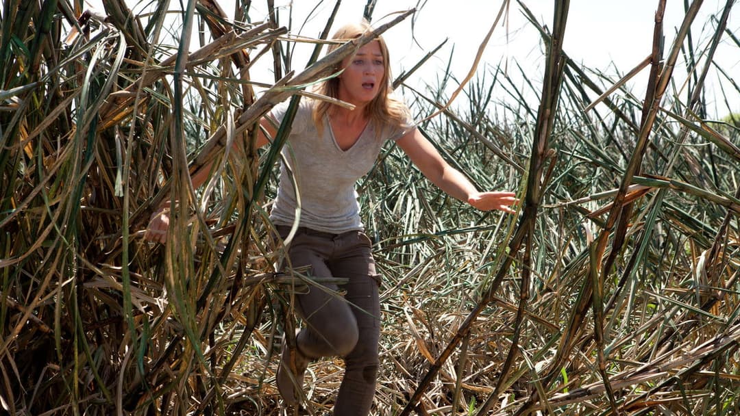 Петля часу backdrop 14