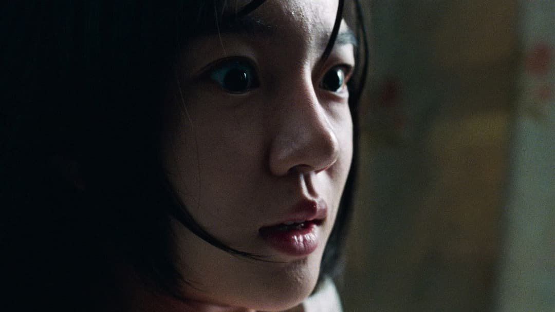 Історія двох сестер backdrop 10