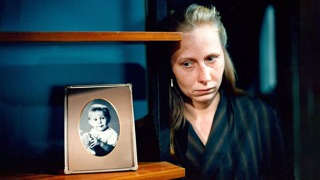 Хмари пливуть вдалечінь backdrop 7