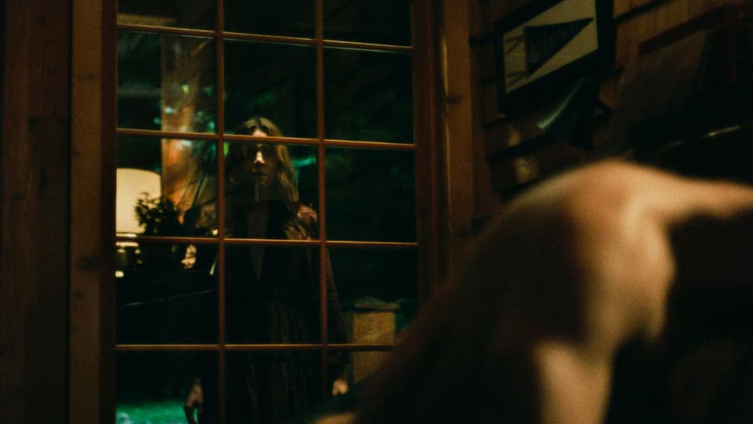 Чорний ведмідь backdrop 2