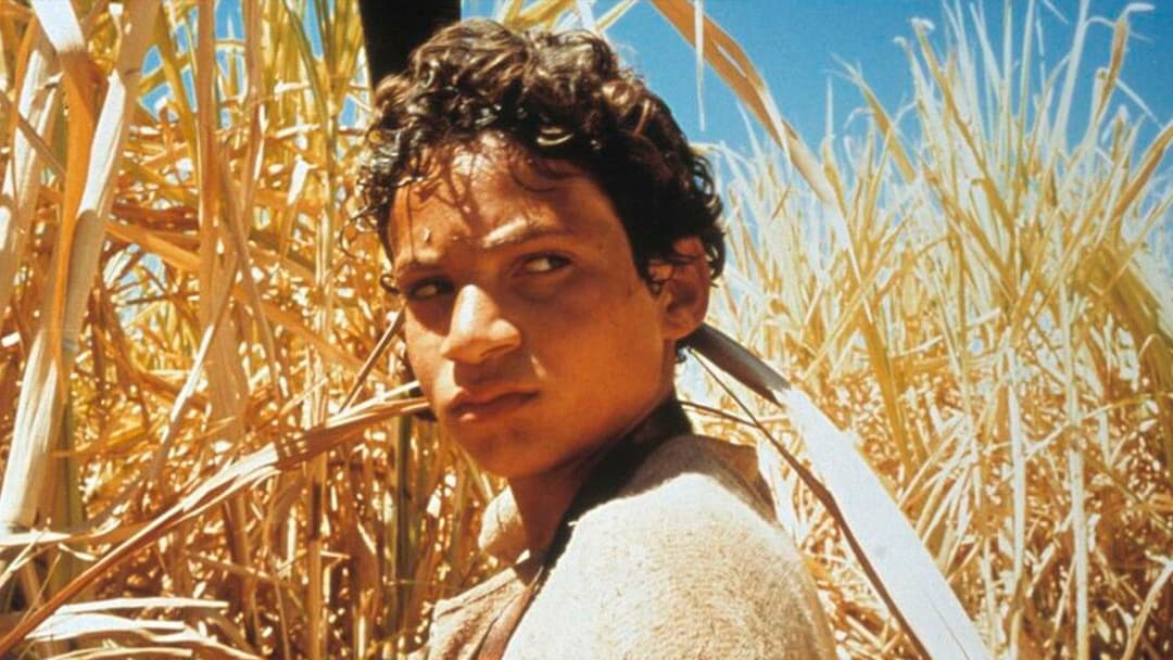 Abril Despedaçado backdrop 1