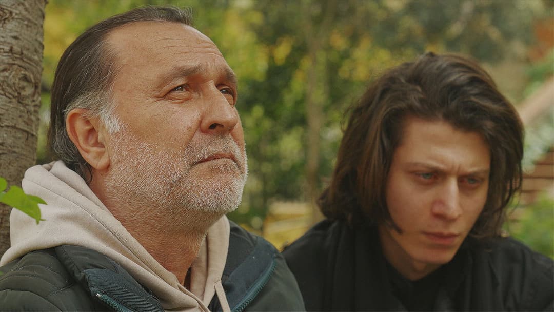 The Leaf Covered in Hoarfrost backdrop 4