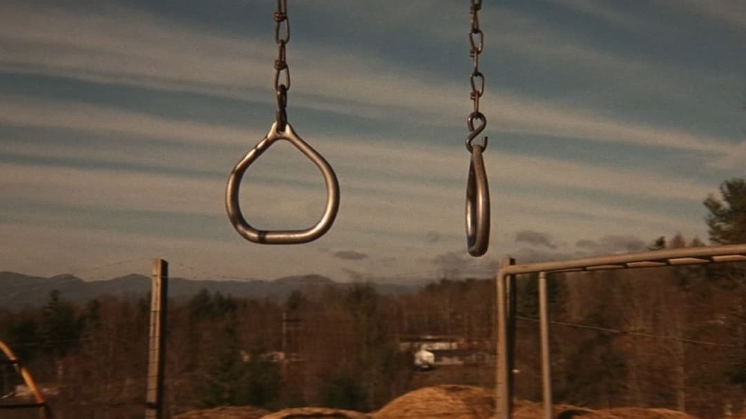 All the Real Girls backdrop 2