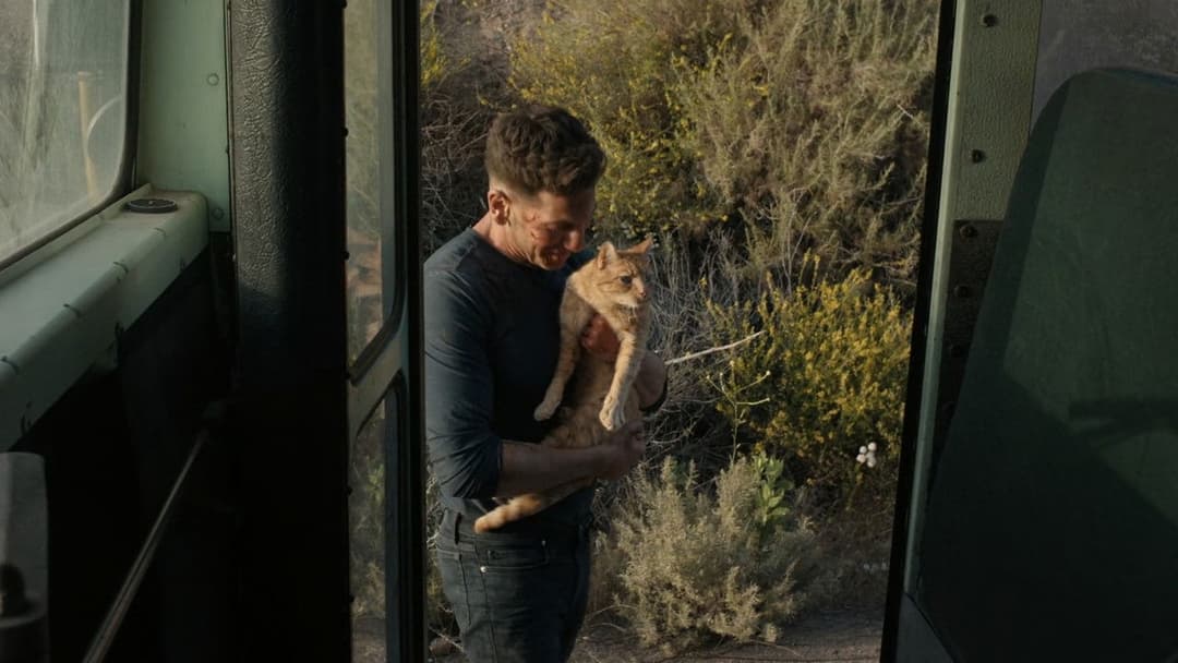 Аудитор 2 backdrop 19