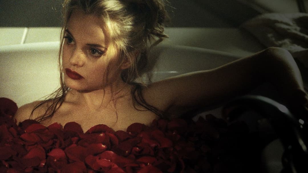 American Beauty backdrop 15