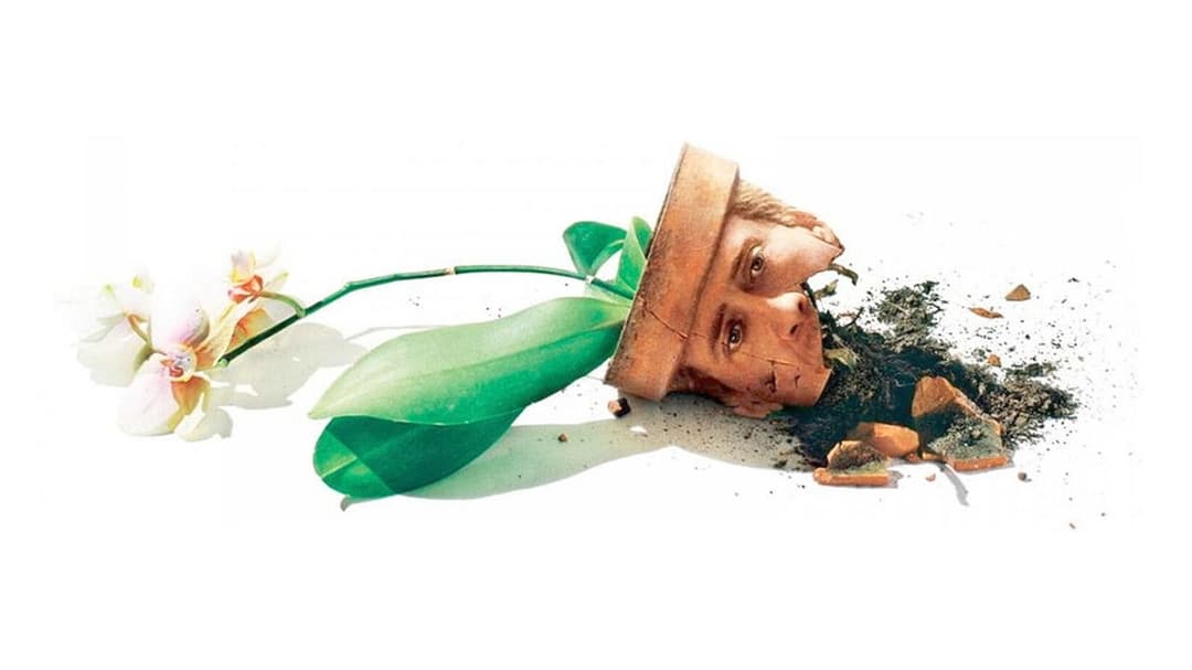 Адаптація. backdrop 14