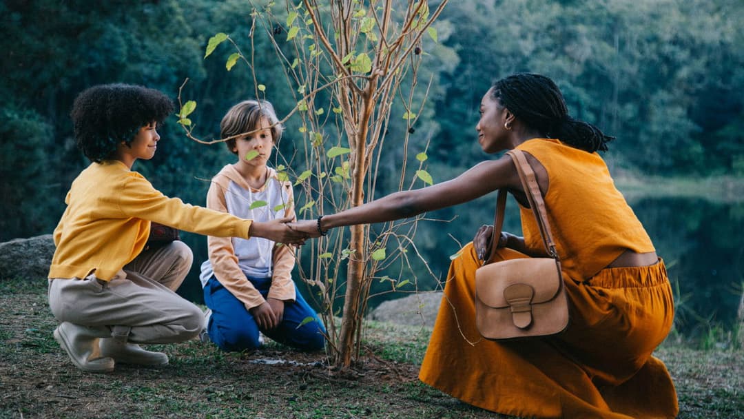 É Tempo de Amoras backdrop 2